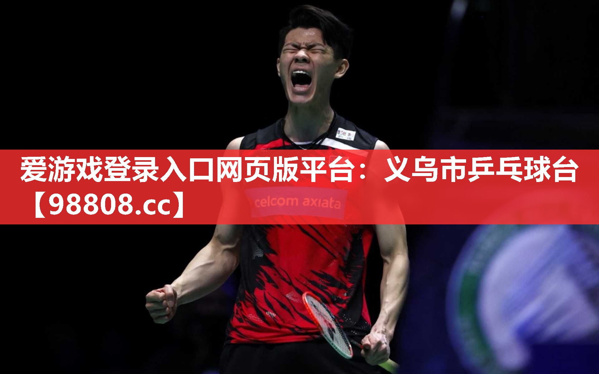 爱游戏登录入口网页版平台：义乌市乒乓球台