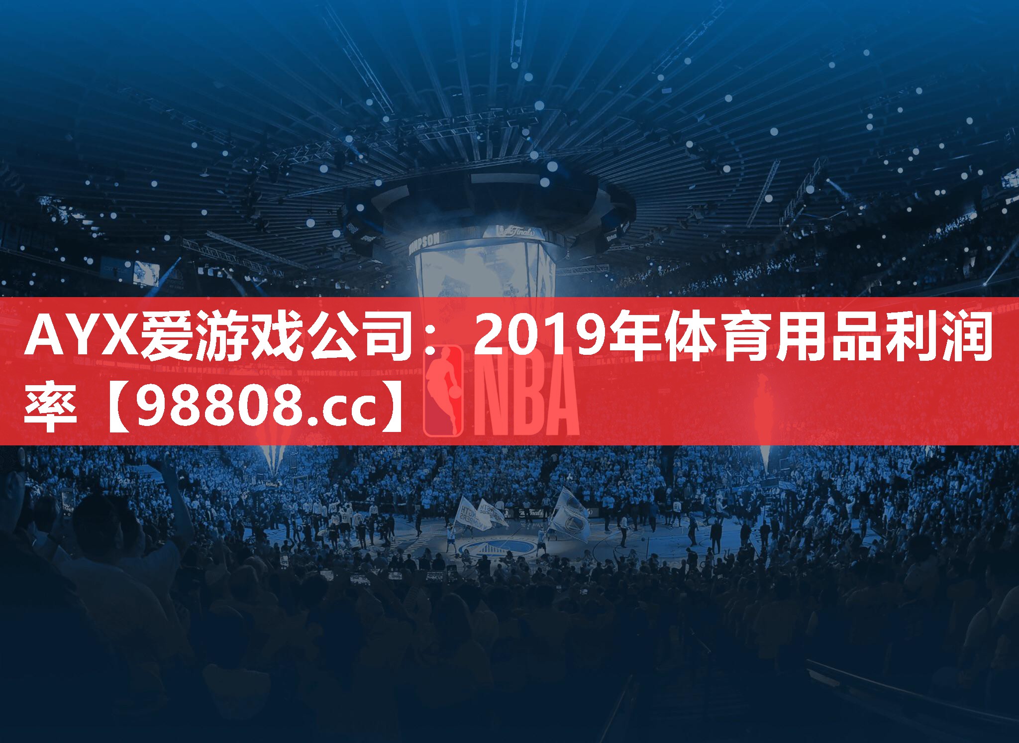 AYX爱游戏公司：2019年体育用品利润率