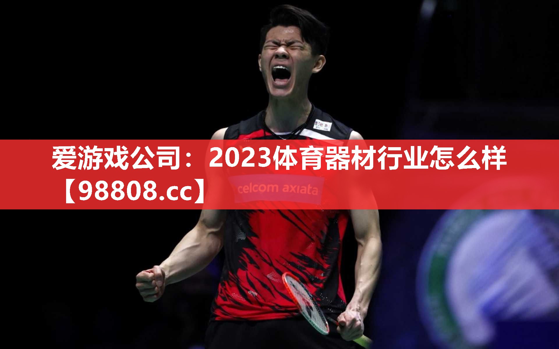 爱游戏公司：2023体育器材行业怎么样