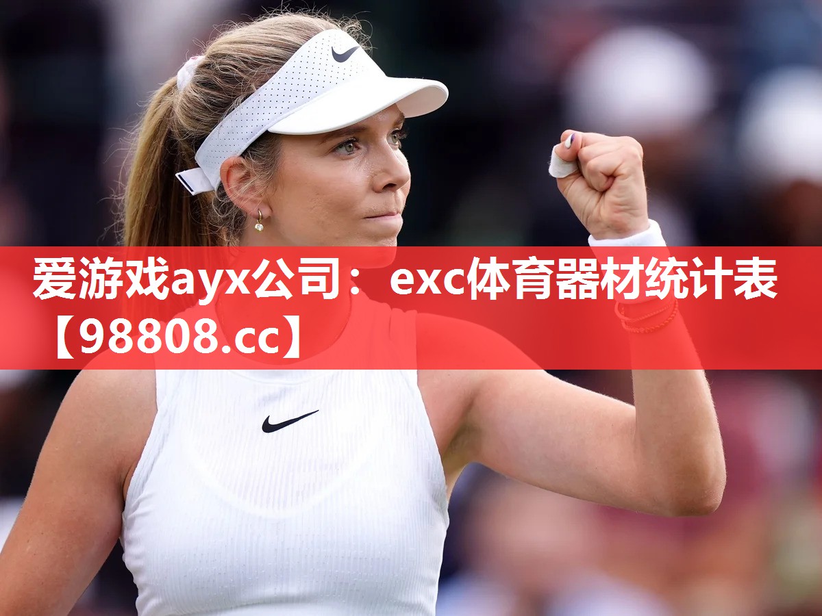 爱游戏ayx公司：exc体育器材统计表