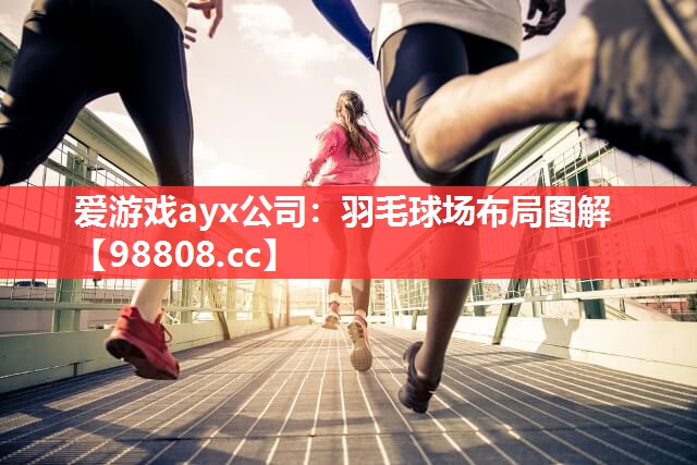 爱游戏ayx公司：羽毛球场布局图解