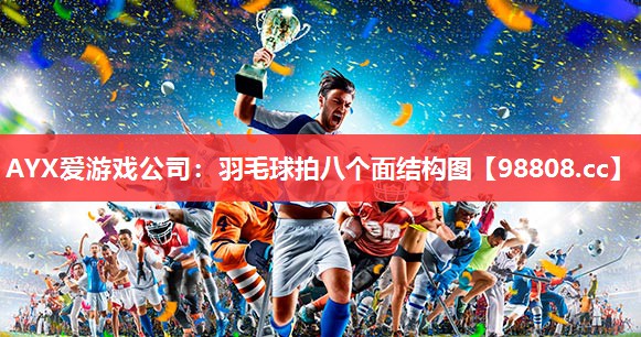 羽毛球拍八个面结构图 羽毛球拍八个面结构图