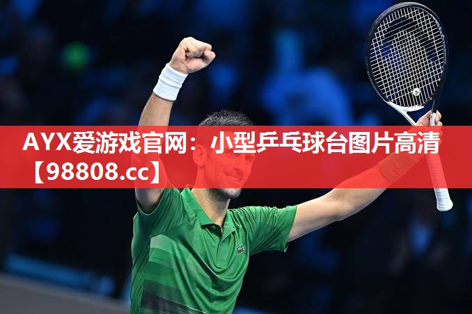 小型乒乓球台图片高清 小型乒乓球台图片高清