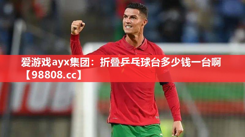折叠乒乓球台多少钱一台啊 折叠乒乓球台多少钱一台啊