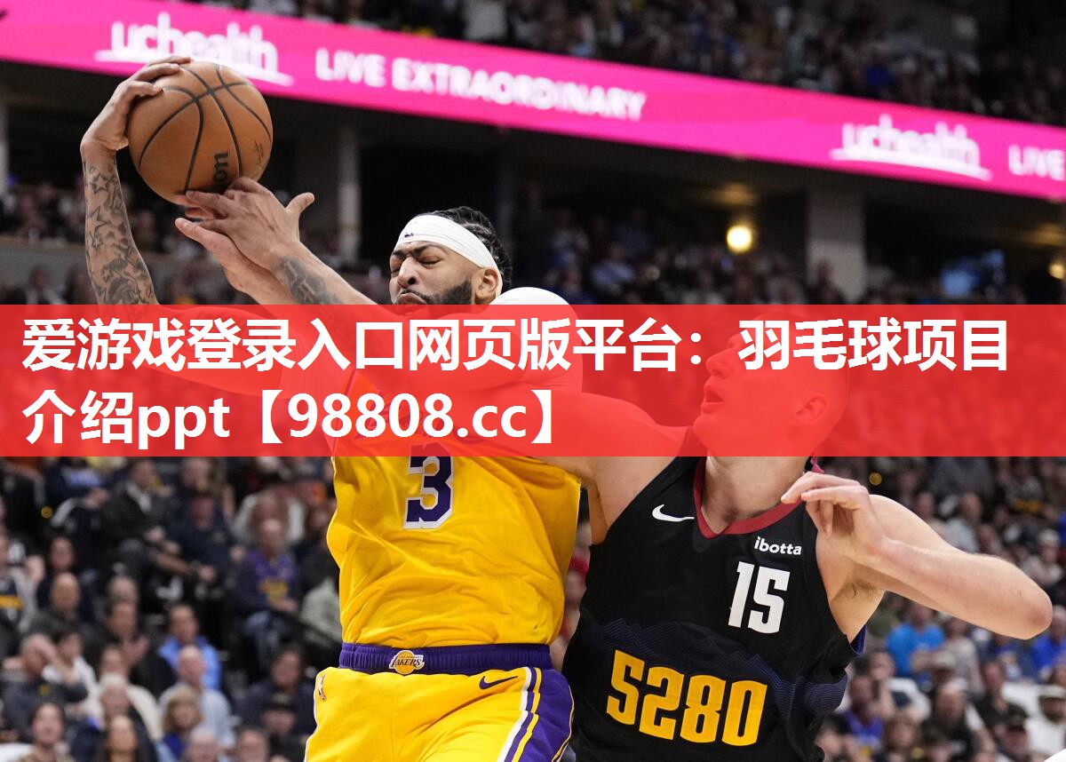 羽毛球项目介绍ppt 羽毛球项目介绍ppt