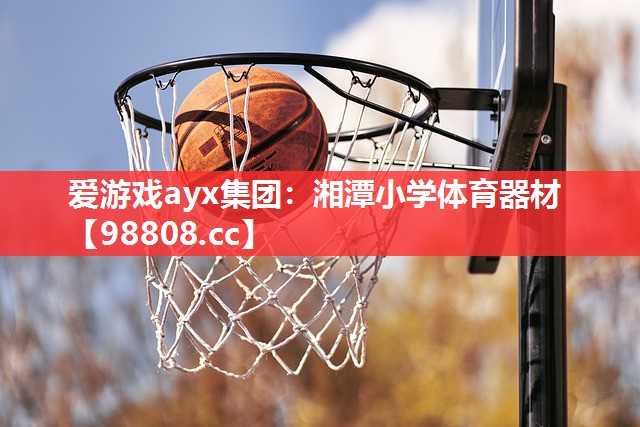 湘潭小学体育器材 湘潭小学体育器材