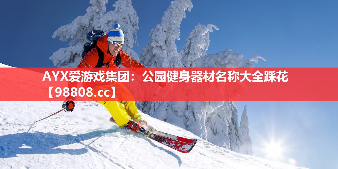 公园健身器材名称大全踩花 公园健身器材名称大全踩花